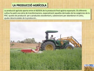 LA PRODUCCIÓ AGRÍCOLALA PRODUCCIÓ AGRÍCOLALA PRODUCCIÓ AGRÍCOLALA PRODUCCIÓ AGRÍCOLA
La producció agrícola aporta entre el 60/65% de la producció final agrària espanyola. Els diferents
cultius ha patit una sèrie de transformacions, especialment aquelles derivades de les exigències de la
PAC: quotes de producció per a productes excedentaris, subvencions per abandonar el cultiu,
ajudes desvinculades de la producció...
La producció agrícola aporta entre el 60/65% de la producció final agrària espanyola. Els diferents
cultius ha patit una sèrie de transformacions, especialment aquelles derivades de les exigències de la
PAC: quotes de producció per a productes excedentaris, subvencions per abandonar el cultiu,
ajudes desvinculades de la producció...
 