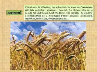 DEFINICIÓDEFINICIÓ
L’espai rural és el territori poc urbanitzat. Un espai on s’exerceixen
activitats agrícoles, ramaderes i forestal. No obstant, des de la
dècada del 1970 l’espai rural s’ha tornat més complex i heterogeni
a conseqüència de la introducció d’altres activitats (residencials,
industrials, recreatives, conservacionistes...)
L’espai rural és el territori poc urbanitzat. Un espai on s’exerceixen
activitats agrícoles, ramaderes i forestal. No obstant, des de la
dècada del 1970 l’espai rural s’ha tornat més complex i heterogeni
a conseqüència de la introducció d’altres activitats (residencials,
industrials, recreatives, conservacionistes...)
 