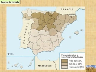 Conreu de cerealsConreu de cerealsConreu de cerealsConreu de cereals
 