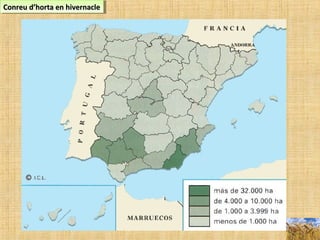 Conreu d’horta en hivernacleConreu d’horta en hivernacleConreu d’horta en hivernacleConreu d’horta en hivernacle
 