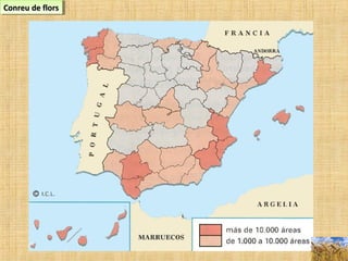 Conreu de florsConreu de florsConreu de florsConreu de flors
 