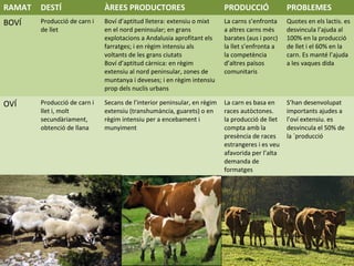 RAMAT DESTÍ ÀREES PRODUCTORES PRODUCCIÓ PROBLEMES
BOVÍ Producció de carn i
de llet
Boví d’aptitud lletera: extensiu o mixt
en el nord peninsular; en grans
explotacions a Andalusia aprofitant els
farratges; i en règim intensiu als
voltants de les grans ciutats
Boví d’aptitud càrnica: en règim
extensiu al nord peninsular, zones de
muntanya i deveses; i en règim intensiu
prop dels nuclis urbans
La carns s’enfronta
a altres carns més
barates (aus i porc)
la llet s’enfronta a
la competència
d’altres països
comunitaris
Quotes en els lactis. es
desvincula l’ajuda al
100% en la producció
de llet i el 60% en la
carn. Es manté l’ajuda
a les vaques dida
OVÍ Producció de carn i
llet i, molt
secundàriament,
obtenció de llana
Secans de l’interior peninsular, en règim
extensiu (transhumància, guarets) o en
règim intensiu per a encebament i
munyiment
La carn es basa en
races autòctones.
la producció de llet
compta amb la
presència de races
estrangeres i es veu
afavorida per l’alta
demanda de
formatges
S’han desenvolupat
importants ajudes a
l’oví extensiu. es
desvincula el 50% de
la `producció
 