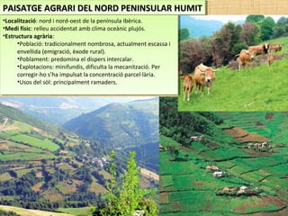 PAISATGE AGRARI DEL NORD PENINSULAR HUMITPAISATGE AGRARI DEL NORD PENINSULAR HUMITPAISATGE AGRARI DEL NORD PENINSULAR HUMITPAISATGE AGRARI DEL NORD PENINSULAR HUMIT
•Localització: nord i nord-oest de la península Ibèrica.
•Medi físic: relleu accidentat amb clima oceànic plujós.
•Estructura agrària:
•Població: tradicionalment nombrosa, actualment escassa i
envellida (emigració, èxode rural).
•Poblament: predomina el dispers intercalar.
•Explotacions: minifundis, dificulta la mecanització. Per
corregir-ho s’ha impulsat la concentració parcel·lària.
•Usos del sòl: principalment ramaders.
•Localització: nord i nord-oest de la península Ibèrica.
•Medi físic: relleu accidentat amb clima oceànic plujós.
•Estructura agrària:
•Població: tradicionalment nombrosa, actualment escassa i
envellida (emigració, èxode rural).
•Poblament: predomina el dispers intercalar.
•Explotacions: minifundis, dificulta la mecanització. Per
corregir-ho s’ha impulsat la concentració parcel·lària.
•Usos del sòl: principalment ramaders.
 