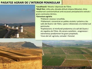 PAISATGE AGRARI DE L’INTERIOR PENINSULARPAISATGE AGRARI DE L’INTERIOR PENINSULARPAISATGE AGRARI DE L’INTERIOR PENINSULARPAISATGE AGRARI DE L’INTERIOR PENINSULAR
•Localització: Meseta i depressió de l’Ebre.
•Medi físic: relleu pla, elevada altitud mitjana (Meseta), clima
mediterrani continentalitzat amb escasses precipitacions estivals i
grans contrastos tèrmics.
•Estructura agrària:
•Població: escassa i envellida.
•Poblament: concentrat en pobles xicotets i pròxims a les
valls del Duero i de l’Ebre, i grans i distanciats a la meitat sud
peninsular.
•Explotacions: el minifundi predomina a la vall del Duero i
als regadius de l’Ebre. Als secans castellans , aragonesos i
extremenys predominen les grans propietats.
•Usos del sòl: agrícola, ramader i forestal.
•Localització: Meseta i depressió de l’Ebre.
•Medi físic: relleu pla, elevada altitud mitjana (Meseta), clima
mediterrani continentalitzat amb escasses precipitacions estivals i
grans contrastos tèrmics.
•Estructura agrària:
•Població: escassa i envellida.
•Poblament: concentrat en pobles xicotets i pròxims a les
valls del Duero i de l’Ebre, i grans i distanciats a la meitat sud
peninsular.
•Explotacions: el minifundi predomina a la vall del Duero i
als regadius de l’Ebre. Als secans castellans , aragonesos i
extremenys predominen les grans propietats.
•Usos del sòl: agrícola, ramader i forestal.
 