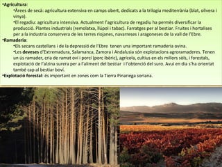 •Agricultura:
•Àrees de secà: agricultura extensiva en camps obert, dedicats a la trilogia mediterrània (blat, olivera i
vinya).
•El regadiu: agricultura intensiva. Actualment l’agricultura de regadiu ha permès diversificar la
producció. Plantes industrials (remolatxa, llúpol i tabac). Farratges per al bestiar. Fruites i hortalises
per a la industria conservera de les terres riojanes, navarreses i aragoneses de la vall de l’Ebre.
•Ramaderia:
•Els secans castellans i de la depressió de l’Ebre tenen una important ramaderia ovina.
•Les deveses d’Extremadura, Salamanca, Zamora i Andalusia són explotacions agroramaderes. Tenen
un ús ramader, cria de ramat oví i porcí (porc ibèric), agrícola, cultius en els millors sòls, i forestals,
explotació de l’alzina surera per a l’aliment del bestiar i l’obtenció del suro. Avui en dia s’ha orientat
també cap al bestiar boví.
•Explotació forestal: és important en zones com la Tierra Pinariega soriana.
•Agricultura:
•Àrees de secà: agricultura extensiva en camps obert, dedicats a la trilogia mediterrània (blat, olivera i
vinya).
•El regadiu: agricultura intensiva. Actualment l’agricultura de regadiu ha permès diversificar la
producció. Plantes industrials (remolatxa, llúpol i tabac). Farratges per al bestiar. Fruites i hortalises
per a la industria conservera de les terres riojanes, navarreses i aragoneses de la vall de l’Ebre.
•Ramaderia:
•Els secans castellans i de la depressió de l’Ebre tenen una important ramaderia ovina.
•Les deveses d’Extremadura, Salamanca, Zamora i Andalusia són explotacions agroramaderes. Tenen
un ús ramader, cria de ramat oví i porcí (porc ibèric), agrícola, cultius en els millors sòls, i forestals,
explotació de l’alzina surera per a l’aliment del bestiar i l’obtenció del suro. Avui en dia s’ha orientat
també cap al bestiar boví.
•Explotació forestal: és important en zones com la Tierra Pinariega soriana.
 