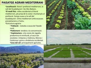 PAISATGE AGRARI MEDITERRANIPAISATGE AGRARI MEDITERRANIPAISATGE AGRARI MEDITERRANIPAISATGE AGRARI MEDITERRANI
•Localització: litoral i prelitoral mediterrani, la
vall del Guadalquivir i les illes Balears.
•El medi físic: relleu accidentat al litoral
mediterrani, pla prop de la costa i muntanyós al
prelitoral. Camps suaus a la vall del
Guadalquivir. Clima mediterrani amb escasses
precipitacions a l’estiu.
•Estructura agrària:
• Població: reduïda a causa de l’èxode
rural.
•Poblament: tendeix a la concentració.
• Explotacions: a les zones de regadiu
predomina el minifundi, al secà són
xicotetes i mitjanes a València, Múrcia i
Catalunya i grans a Andalusia occidental.
•Usos del sòl: principalment agrícoles.
•Localització: litoral i prelitoral mediterrani, la
vall del Guadalquivir i les illes Balears.
•El medi físic: relleu accidentat al litoral
mediterrani, pla prop de la costa i muntanyós al
prelitoral. Camps suaus a la vall del
Guadalquivir. Clima mediterrani amb escasses
precipitacions a l’estiu.
•Estructura agrària:
• Població: reduïda a causa de l’èxode
rural.
•Poblament: tendeix a la concentració.
• Explotacions: a les zones de regadiu
predomina el minifundi, al secà són
xicotetes i mitjanes a València, Múrcia i
Catalunya i grans a Andalusia occidental.
•Usos del sòl: principalment agrícoles.
 