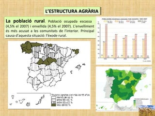 L’ESTRUCTURA AGRÀRIAL’ESTRUCTURA AGRÀRIAL’ESTRUCTURA AGRÀRIAL’ESTRUCTURA AGRÀRIA
La població rural. Població ocupada escassa
(4,5% el 2007) i envellida (4,5% el 2007). L’envelliment
és més acusat a les comunitats de l’interior. Principal
causa d’aquesta situació: l’èxode rural.
La població rural. Població ocupada escassa
(4,5% el 2007) i envellida (4,5% el 2007). L’envelliment
és més acusat a les comunitats de l’interior. Principal
causa d’aquesta situació: l’èxode rural.
 