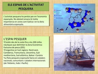 ELS ESPAIS DE L’ACTIVITATELS ESPAIS DE L’ACTIVITAT
PESQUERAPESQUERA
L’activitat pesquera ha perdut pes en l’economia
espanyola. No obstant encara té molta
importància en zones com Galícia i en la dieta
alimentària espanyola.
L’activitat pesquera ha perdut pes en l’economia
espanyola. No obstant encara té molta
importància en zones com Galícia i en la dieta
alimentària espanyola.
L’ESPAI PESQUER
•S’estén des de la costa fins a les 200 milles
nàutiques que delimiten la Zona Econòmica
Exclusiva de pesca (ZEE).
•S’organitza en huit regions: Nord-oest,
Cantàbrica, Tramuntana, Llevantina, Sud-
mediterrània, Sud-atlàntica, Balear i Canària
•La flota pesquera espanyola faena en caladors
nacionals, comunitaris i caladors internacionals
(de l’Atlàntic, Índic i Pacífic)
L’ESPAI PESQUER
•S’estén des de la costa fins a les 200 milles
nàutiques que delimiten la Zona Econòmica
Exclusiva de pesca (ZEE).
•S’organitza en huit regions: Nord-oest,
Cantàbrica, Tramuntana, Llevantina, Sud-
mediterrània, Sud-atlàntica, Balear i Canària
•La flota pesquera espanyola faena en caladors
nacionals, comunitaris i caladors internacionals
(de l’Atlàntic, Índic i Pacífic)
 