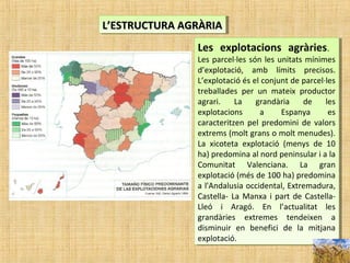 Les explotacions agràries.
Les parcel·les són les unitats mínimes
d’explotació, amb límits precisos.
L’explotació és el conjunt de parcel·les
treballades per un mateix productor
agrari. La grandària de les
explotacions a Espanya es
caracteritzen pel predomini de valors
extrems (molt grans o molt menudes).
La xicoteta explotació (menys de 10
ha) predomina al nord peninsular i a la
Comunitat Valenciana. La gran
explotació (més de 100 ha) predomina
a l'Andalusia occidental, Extremadura,
Castella- La Manxa i part de Castella-
Lleó i Aragó. En l’actualitat les
grandàries extremes tendeixen a
disminuir en benefici de la mitjana
explotació.
Les explotacions agràries.
Les parcel·les són les unitats mínimes
d’explotació, amb límits precisos.
L’explotació és el conjunt de parcel·les
treballades per un mateix productor
agrari. La grandària de les
explotacions a Espanya es
caracteritzen pel predomini de valors
extrems (molt grans o molt menudes).
La xicoteta explotació (menys de 10
ha) predomina al nord peninsular i a la
Comunitat Valenciana. La gran
explotació (més de 100 ha) predomina
a l'Andalusia occidental, Extremadura,
Castella- La Manxa i part de Castella-
Lleó i Aragó. En l’actualitat les
grandàries extremes tendeixen a
disminuir en benefici de la mitjana
explotació.
L’ESTRUCTURA AGRÀRIAL’ESTRUCTURA AGRÀRIAL’ESTRUCTURA AGRÀRIAL’ESTRUCTURA AGRÀRIA
 