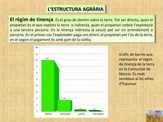 L’ESTRUCTURA AGRÀRIAL’ESTRUCTURA AGRÀRIAL’ESTRUCTURA AGRÀRIAL’ESTRUCTURA AGRÀRIA
El règim de tinença. És el grau de domini sobre la terra. Pot ser directa, quan el
propietari és el que explota la terra o indirecta, quan el propietari cedeix l’explotació
a una tercera persona. En la tinença indirecta la cessió pot ser en arrendament o
parceria. En el primer cas l’explotador paga uns diners al propietari per l’ús de la terra,
en el segon el pagament és amb part de la collita.
El règim de tinença. És el grau de domini sobre la terra. Pot ser directa, quan el
propietari és el que explota la terra o indirecta, quan el propietari cedeix l’explotació
a una tercera persona. En la tinença indirecta la cessió pot ser en arrendament o
parceria. En el primer cas l’explotador paga uns diners al propietari per l’ús de la terra,
en el segon el pagament és amb part de la collita.
Gràfic de barres que
representa el règim
de tinença de la terra
en la Comunitat de
Múrcia. És molt
semblant al les xifres
d’Espanya.
 