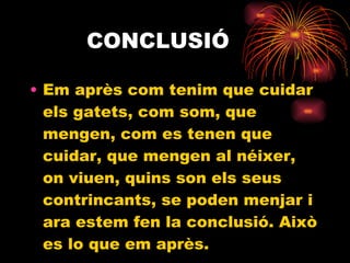 CONCLUSIÓ Em après com tenim que cuidar els gatets, com som, que mengen, com es tenen que cuidar, que mengen al néixer, on viuen, quins son els seus contrincants, se poden menjar i ara estem fen la conclusió. Això es lo que em après. 