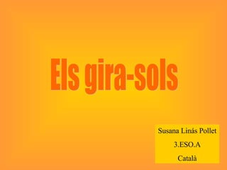 Els gira-sols Susana Linás Pollet 3.ESO.A Català 