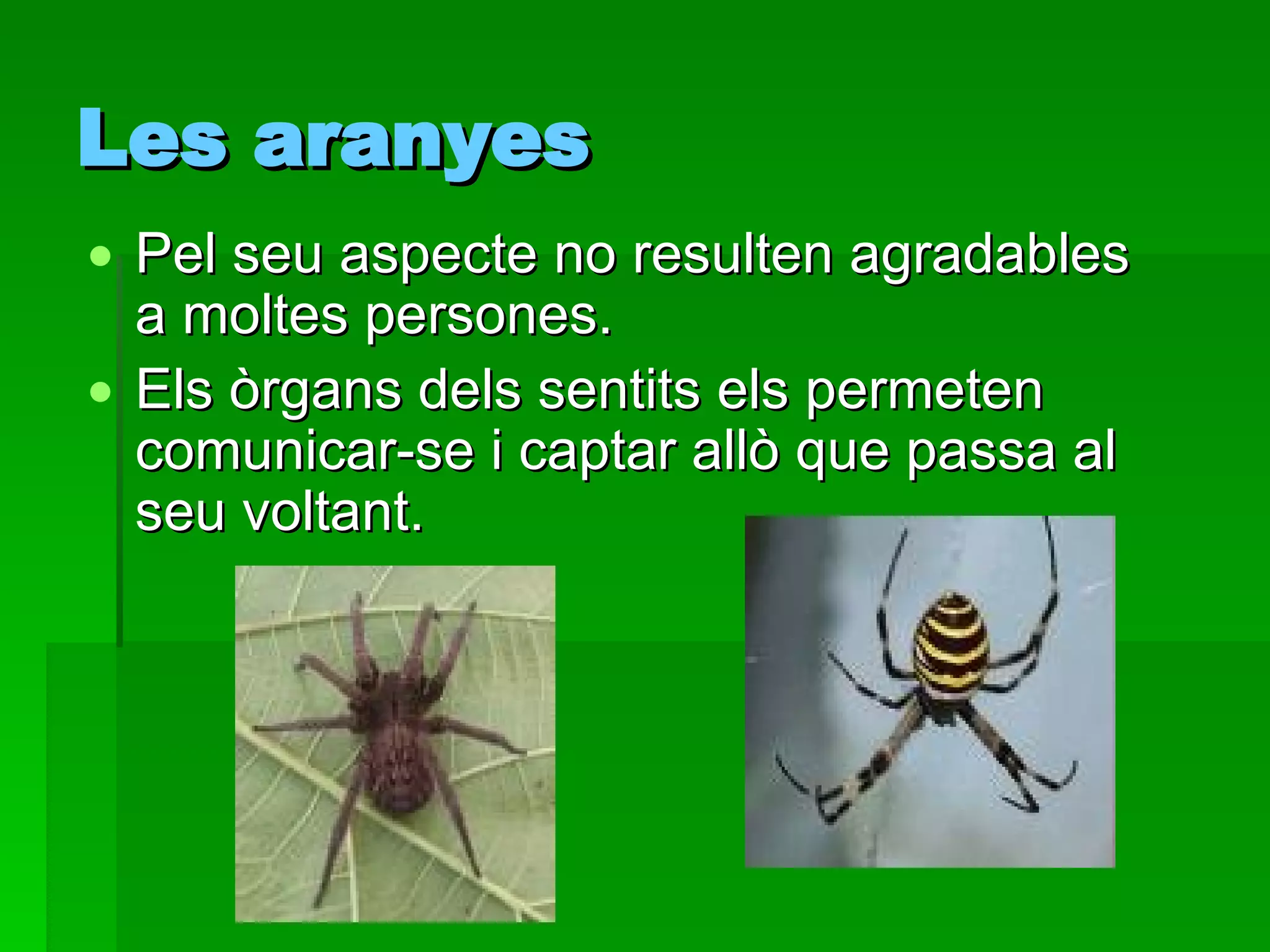 Les aranyes Pel seu aspecte no resulten agradables a moltes persones. Els òrgans dels sentits els permeten comunicar-se i captar allò que passa al seu voltant.  