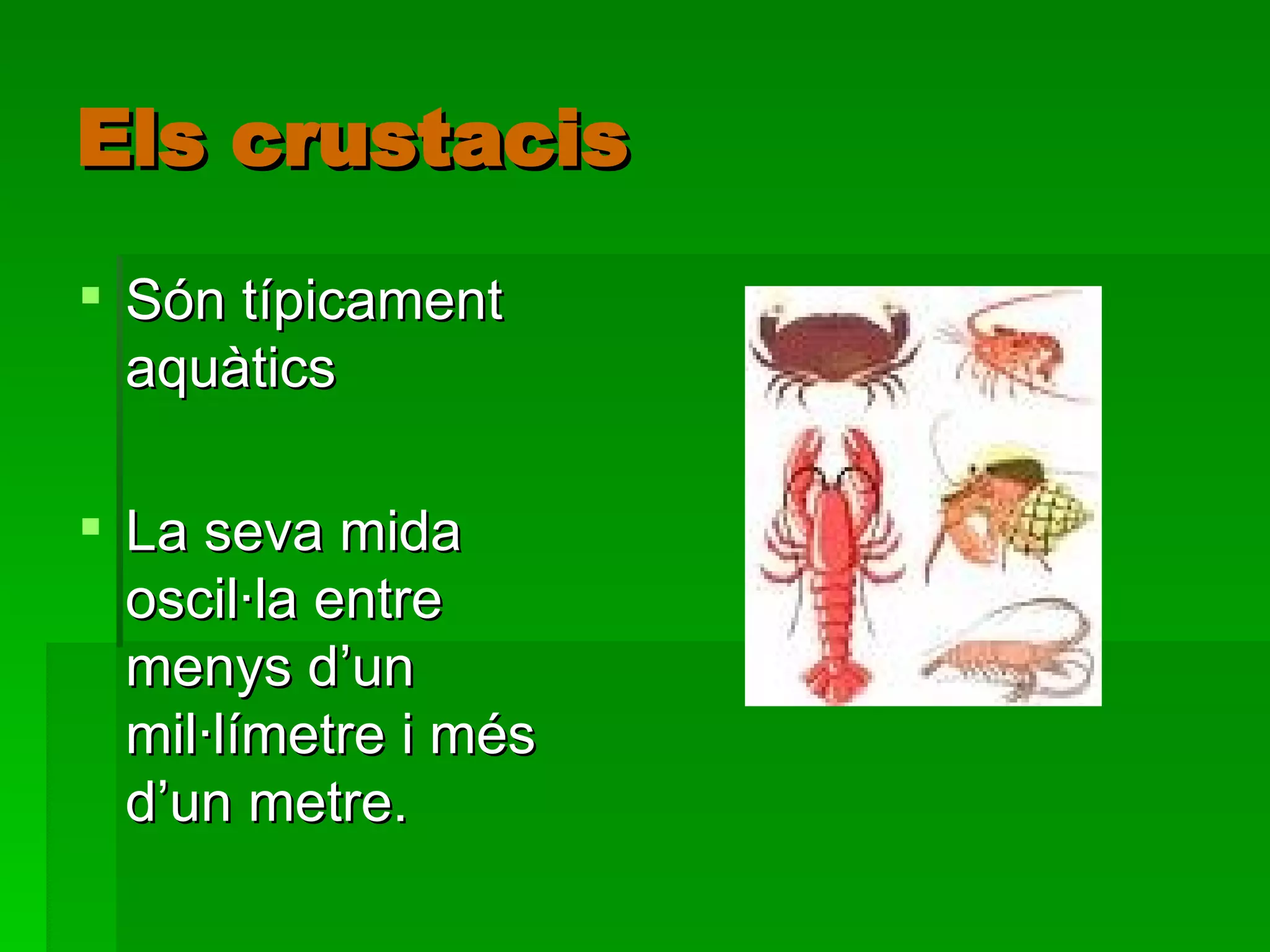 Els crustacis Són típicament aquàtics La seva mida oscil·la entre menys d’un mil·límetre i més d’un metre. 