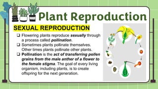 Sexual and Asexual Reproduction of Plants | PDF