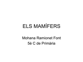 ELS MAMÍFERS Mohana Ramionet Font 5è C de Primària 