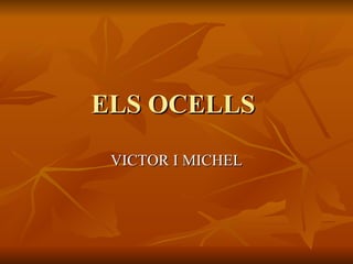 ELS OCELLS  VICTOR I MICHEL 