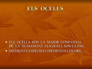 ELS  OCELLS  ELS  OCELLS  SÓN  LA  MAJOR  CONPANYIA DE  LA  HUMANITAT. ELS OCELL SÓN LA PAU. DIFERENTS ESPÈCIES I DIFERENTS COLORS…. 