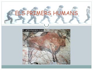 ELS PRIMERS HUMANS 