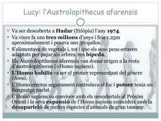 Lucy: l’Austrolopithecus afarensis ,[object Object],[object Object],[object Object],[object Object],[object Object],[object Object],[object Object]