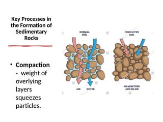 Different Types of Rocks and Rock Cycle x | PPTX