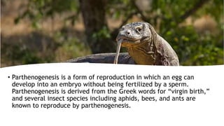 Parthenogenesis Insect ELS-Q2- WEEK 3-4.pptx