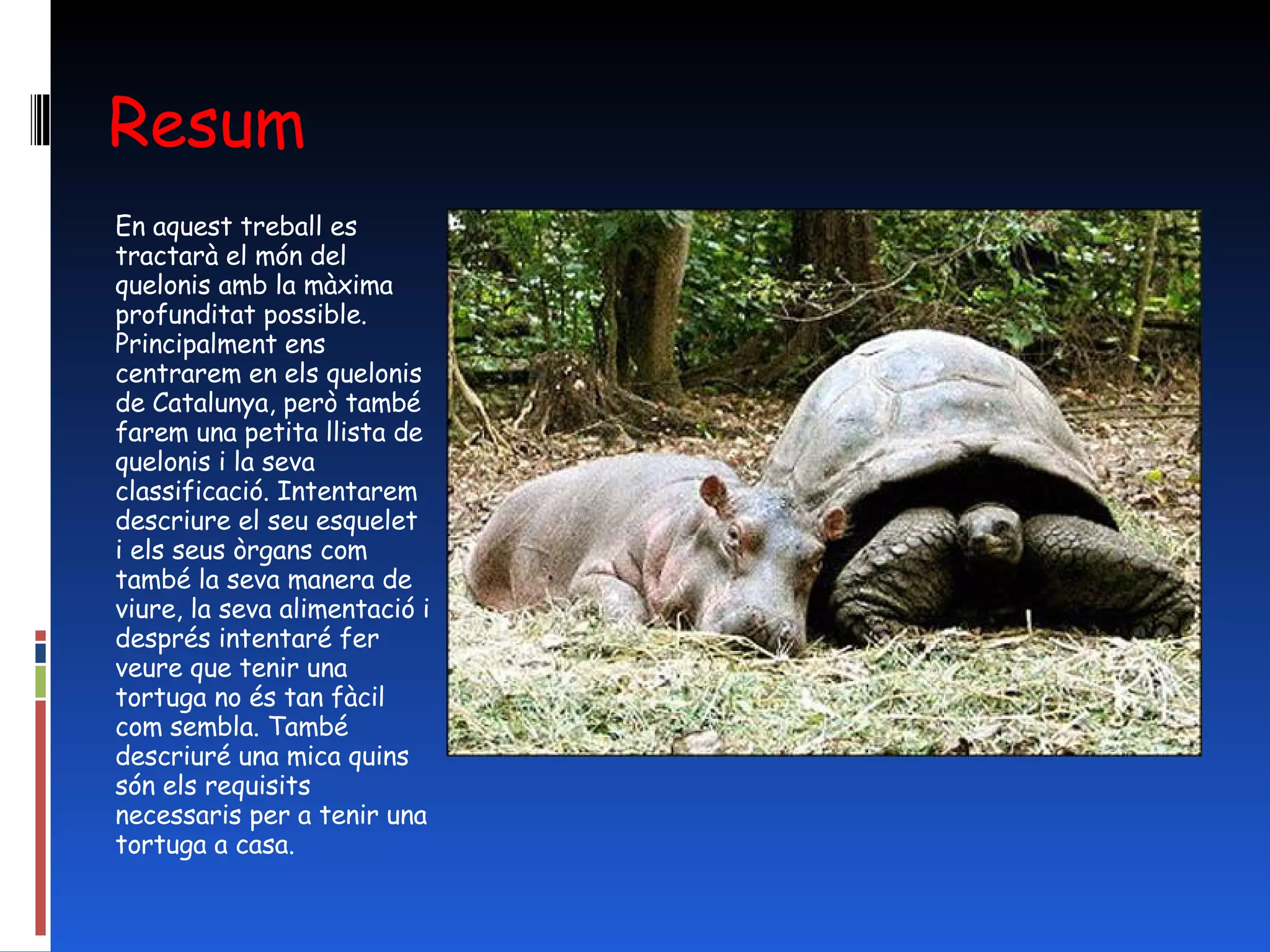Resum En aquest treball es tractarà el món del quelonis amb la màxima profunditat possible. Principalment ens centrarem en els quelonis de Catalunya, però també farem una petita llista de quelonis i la seva classificació. Intentarem descriure el seu esquelet i els seus òrgans com també la seva manera de viure, la seva alimentació i després intentaré fer veure que tenir una tortuga no és tan fàcil com sembla. També descriuré una mica quins són els requisits necessaris per a tenir una tortuga a casa. 