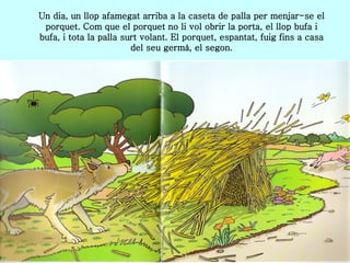 Un dia, un llop afamegat arriba a la caseta de palla per menjar-se el porquet. Com que el porquet no li vol obrir la porta, el llop bufa i bufa, i tota la palla surt volant. El porquet, espantat, fuig fins a casa del seu germà, el segon. 
