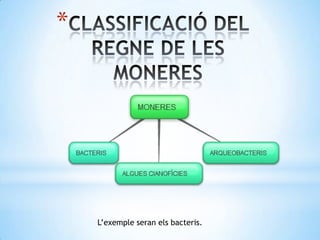 *




    L’exemple seran els bacteris.
 