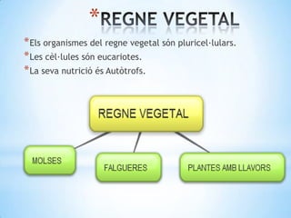 *
* Els organismes del regne vegetal són pluricel·lulars.
* Les cèl·lules són eucariotes.
* La seva nutrició és Autòtrofs.
 