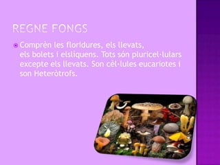  Comprèn  les floridures, els llevats,
 els bolets i elslíquens. Tots són pluricel·lulars
 excepte els llevats. Son cèl·lules eucariotes i
 son Heteròtrofs.
 