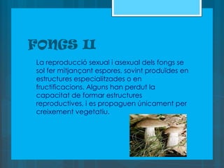 FONGS II
   La reproducció sexual i asexual dels fongs se
    sol fer mitjançant espores, sovint produïdes en
    estructures especialitzades o en
    fructificacions. Alguns han perdut la
    capacitat de formar estructures
    reproductives, i es propaguen únicament per
    creixement vegetatiu.
 