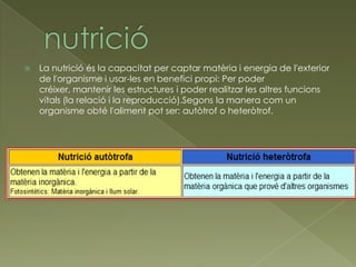    La nutrició és la capacitat per captar matèria i energia de l'exterior
    de l'organisme i usar-les en benefici propi: Per poder
    créixer, mantenir les estructures i poder realitzar les altres funcions
    vitals (la relació i la reproducció).Segons la manera com un
    organisme obté l'aliment pot ser: autòtrof o heteròtrof.
 