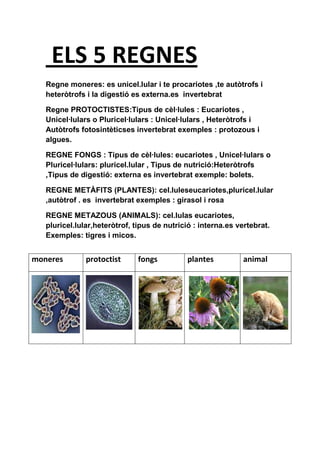 ELS 5 REGNES
   Regne moneres: es unicel.lular i te procariotes ,te autòtrofs i
   heteròtrofs i la digestió es externa.es invertebrat

   Regne PROTOCTISTES:Tipus de cèl·lules : Eucariotes ,
   Unicel·lulars o Pluricel·lulars : Unicel·lulars , Heteròtrofs i
   Autòtrofs fotosintèticses invertebrat exemples : protozous i
   algues.

   REGNE FONGS : Tipus de cèl·lules: eucariotes , Unicel·lulars o
   Pluricel·lulars: pluricel.lular , Tipus de nutrició:Heteròtrofs
   ,Tipus de digestió: externa es invertebrat exemple: bolets.

   REGNE METÀFITS (PLANTES): cel.luleseucariotes,pluricel.lular
   ,autòtrof . es invertebrat exemples : girasol i rosa

   REGNE METAZOUS (ANIMALS): cel.lulas eucariotes,
   pluricel.lular,heteròtrof, tipus de nutrició : interna.es vertebrat.
   Exemples: tigres i micos.


moneres        protoctist      fongs          plantes         animal
 