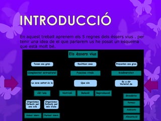 En aquest treball aprenem els 5 regnes dels éssers vius . per
tenir una idea de el que parlarem us he posat un esquema
que està molt bé.
 