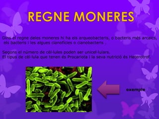 Dins el regne deles moneres hi ha els arqueobacteris, o bacteris més arcaics,
els bacteris i les algues cianofícies o cianobacteris .

Segons el número de cèl·lules poden ser unicel·lulars.
El tipus de cèl·lula que tenen és Procariota i la seva nutrició és Heterotrof.




                                                                 exemple
 