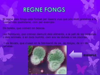 El regne dels fongs està format per éssers vius que són molt presents a la
nostra vida quotidiana, com per exemple:

Els bolets, que creixen en boscos.

Les floridures, que creixen damunt dels aliments, a la pell de les persones
o dels animals, o en llocs humits, com ara les dutxes o les piscines.

 I els llevats, que s'usen en la fabricació de pa, de dolços, de vi i de
cervesa.


                                                                    EXEMPLE
 