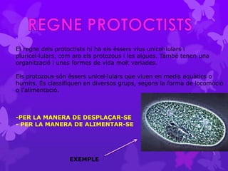 El regne dels protoctists hi ha els éssers vius unicel·lulars i
pluricel·lulars, com ara els protozous i les algues. També tenen una
organització i unes formes de vida molt variades.

Els protozous són éssers unicel·lulars que viuen en medis aquàtics o
humits. Es classifiquen en diversos grups, segons la forma de locomoció
o l'alimentació.



-PER LA MANERA DE DESPLAÇAR-SE
- PER LA MANERA DE ALIMENTAR-SE




                  EXEMPLE
 