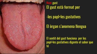 Els 5 sentits | PPTX