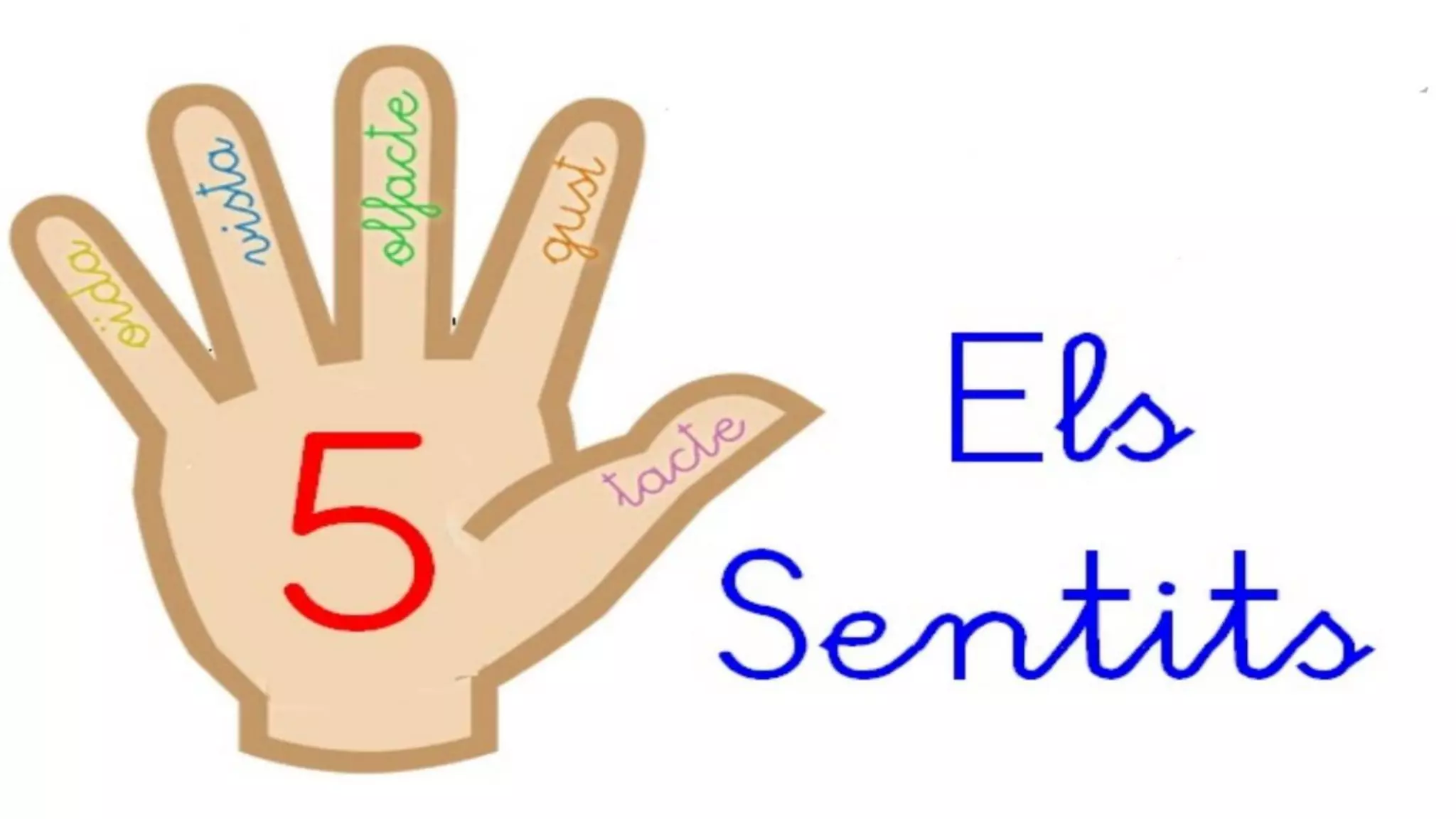 Els 5 sentits indiracs | PDF