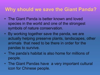 Why should we save the Giant Panda?
• The Giant Panda is better known and loved
  species in the world and one of the strongest
  symbols of nature conservation.
• By working together save the panda, we are
  actually helping preserve plants, landscapes, other
  animals that need to be there in order for the
  pandas to survive.
• The panda’s habitat is also home for millions of
  people.
• The Giant Pandas have a very important cultural
  icon for Chinese people.
 