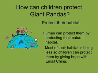 How can children protect
    Giant Pandas?
         Protect their habitat:

         Human can protect them by
          protecting their natural
          habitat.
          Most of their habitat is being
          less so children can protect
          them by giving hope with
          Email China.
 
