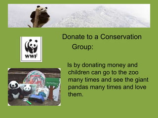 Donate to a Conservation
  Group:

 Is by donating money and
 children can go to the zoo
 many times and see the giant
 pandas many times and love
 them.
 