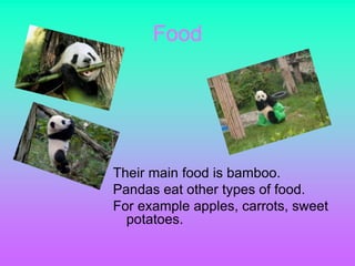 Food




Their main food is bamboo.
Pandas eat other types of food.
For example apples, carrots, sweet
  potatoes.
 