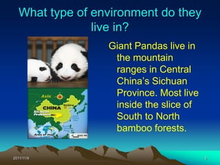 What type of environment do they
                live in?
                  Giant Pandas live in
                   the mountain
                   ranges in Central
                   China’s Sichuan
                   Province. Most live
                   inside the slice of
                   South to North
                   bamboo forests.

2011/11/9                                9
 