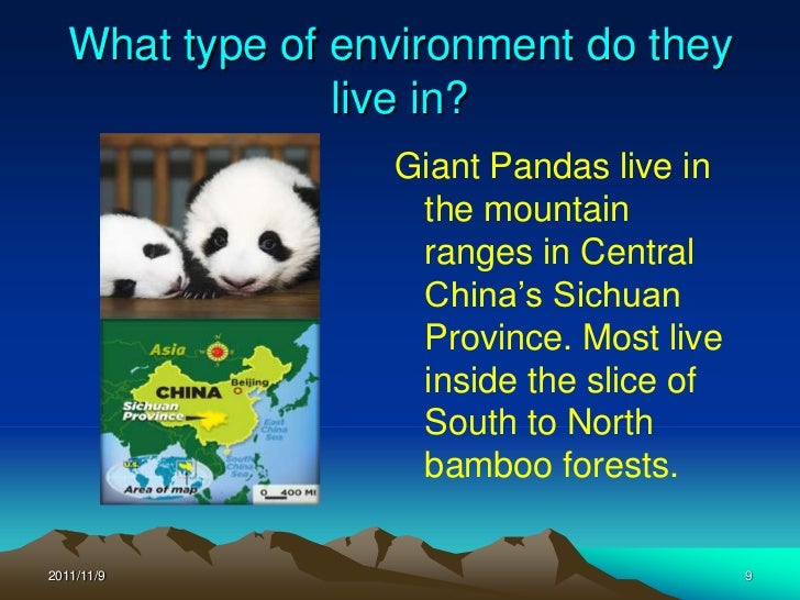 Where do pandas live?