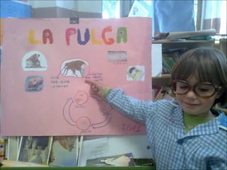 El sabio de los insectos