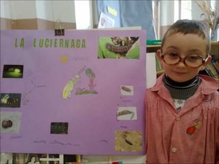 El sabio de los insectos