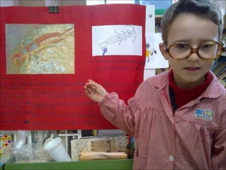 El sabio de los insectos