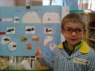 El sabio de los insectos